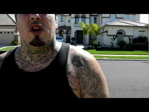 CHINO MONTANA "ALPHA MALE" DLK ENTERPRISE