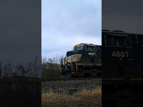 4687 and 1133 NS Locomotives #like #share #subscribe