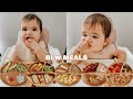 Easy Baby Led Weaning Meals My Baby S Favorite Foods For Breakfast Lunch Dinner