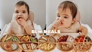 Easy Baby Led Weaning Meals | My Baby