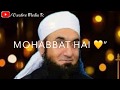 Islam Ka Sabse Mazboot Amal Kya Hai WhatsApp Status Islam Ka Sabse Mazboot Amal Kya Hai Status