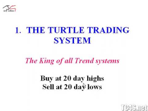 DLSUB.COM: Entry & Exit Techniques | The TURTLE TRADING SYSTEM EXPLAINED