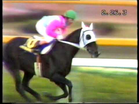 1984 Japan Cup