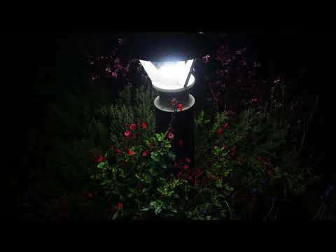 Sohsuke - 夏は終る