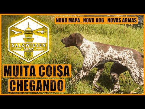Steam Community :: Video :: NOVO MAPA CHEGANDO + NOVO DOG + NOVAS ARMAS ...