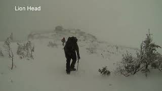 Mt. Washington NH - Winter Lion Head