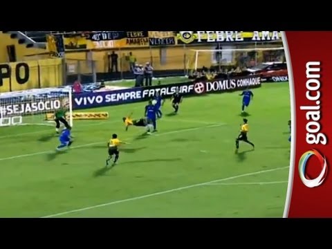 Top 5 Goals from Brazil