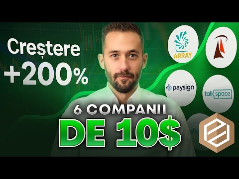 Analiza celor 6 companii, care se pot transforma peste noapte în Palantir