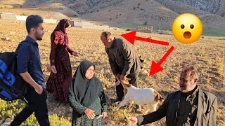 Download lagu From apology to anger: Gholamali's attempt to steal goats! mp3