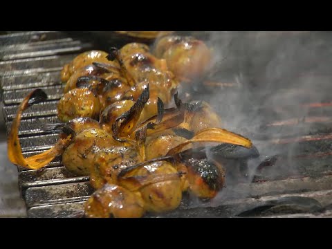 Olores y Sabores - La casa de los platillos al carbón