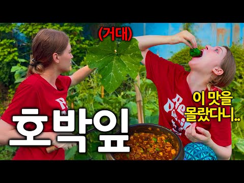 독일에선 눈 앞에 있어도 모르고 지나친다는 호박잎을 한국 와서 난생처음 먹고 충격받은 독일여자
