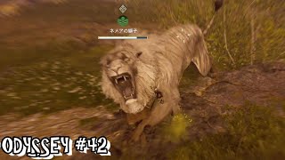 #42 白ライオンかっこよすぎ！！！ 【ASSASSIN'S CREED ODYSSEY】