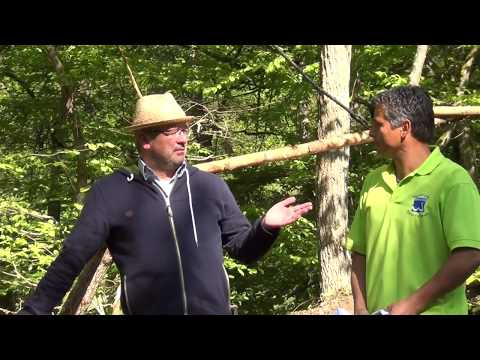 Der Wispertaunussteig   Erste Impressionen