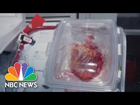 How 'heart in a box' technology could help heart transplant ...