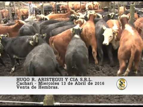 13-04-16 Venta de Hembras - Hugo R. Aristegui y Cia S.R.L. - Cacharì.