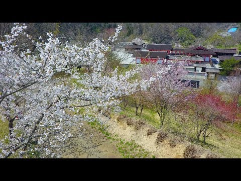 えさし藤原の郷〜春