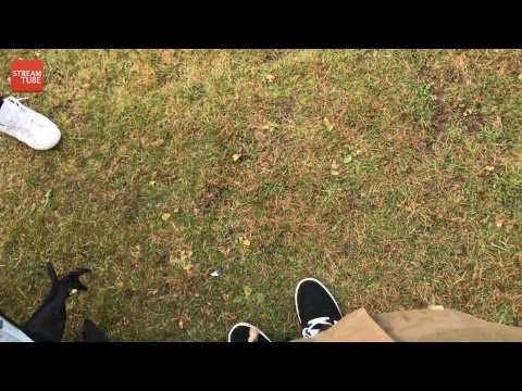 Peljmies Cup 2017 Live-stream