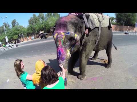 BUBO bál v Košiciach