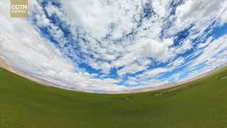 Atravesando la hermosa pradera del norte de Xizang: el humedal Mujiu, un paraíso de vida y armonía