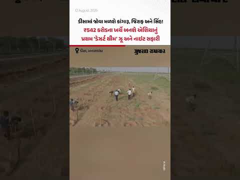 ડીસામાં જોવા મળશે કાંગારૂ, જિરાફ અને સિંહ! ₹542 કરોડના ખર્ચે બનશે એશિયાનું પ્રથમ ‘ડેઝર્ટ થીમ’ ઝૂ અને નાઇટ સફારી ડીસામાં જોવા મળશે કાંગારૂ, જિરાફ અને સિંહ! ₹542 કરોડના ખર્ચે બનશે એશિયાનું પ્રથમ ‘ડેઝર્ટ થીમ’ ઝૂ અને નાઇટ સફારી