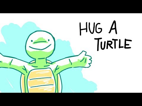 Hug a turtle 🐢 (Original meme)