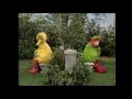 Sesame Street My Cousin My Friend Song