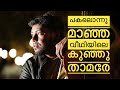 Pakalonnu Maanja Veedhiyile Neelathamara Coversong Rageshkm Vidyasagar