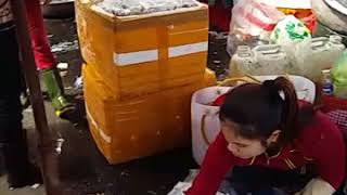 preview picture of video 'Tham quan chợ Long Hải thuộc huyện Long Điền, Bà Rịa Vũng Tàu'