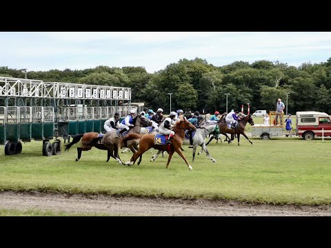 Duindigt 10 juli 2022  Impressie