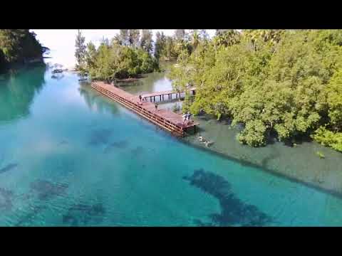 Aromarea.. Serui Kepulauan Yapen