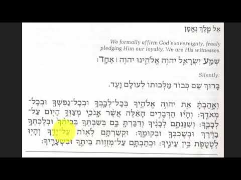 First Paragraph of Shema 04 (Vehaya leot)