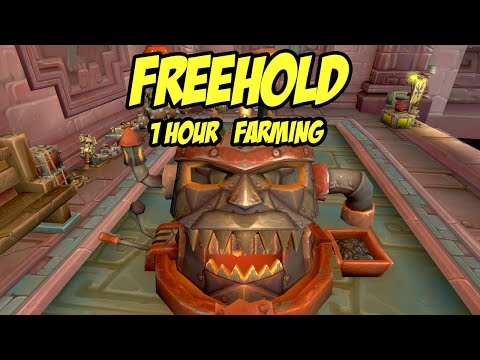 WoW BfA 8.3 : 1 Hour FREEHOLD Farming 🙏 Gold Guide!