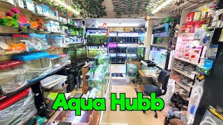 Aquarium Fish Stock at Aqua Hubb Aquarium Store