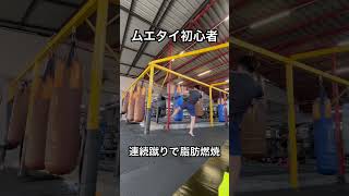 今日のムエタイお兄さん🇹🇭連続蹴りで脂肪燃焼