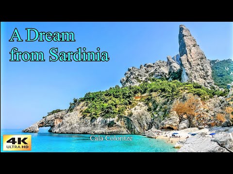 𝟒𝐊 𝐓𝐡𝐞 𝐃𝐫𝐞𝐚𝐦 𝐒𝐚𝐫𝐝𝐢𝐧𝐢𝐞𝐧 𝐰𝐢𝐭𝐡 𝐃𝐉𝐈 𝐏𝐡𝐚𝐧𝐭𝐨𝐦 𝟒