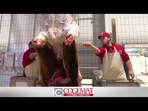 Cattle Halal Salughtering Line