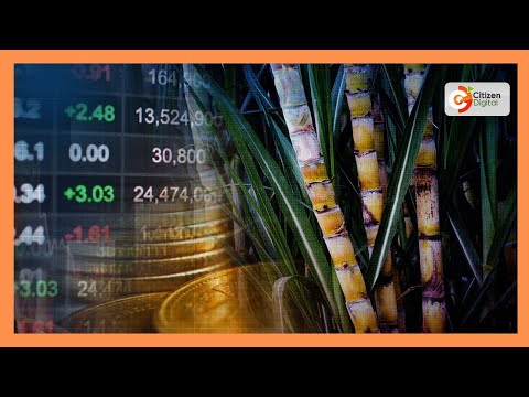 Sugar workers suspend strike after govt, unions reach KSh 10.8bn arrears deal