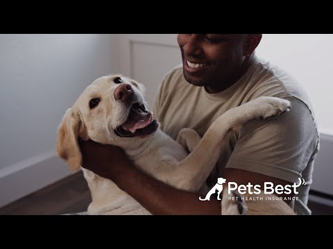Pets Best video/presentation/materials