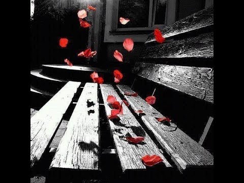 Pooh-Noi due nel mondo e nell'anima+Testo