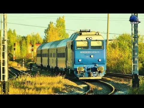 Trenuri de Calatori/Passenger Trains in Oradea Est Triaj [Autumn Edition] - 26 September 2018