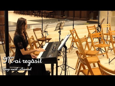 M-ai regăsit  / Grup vocal - Ammiel