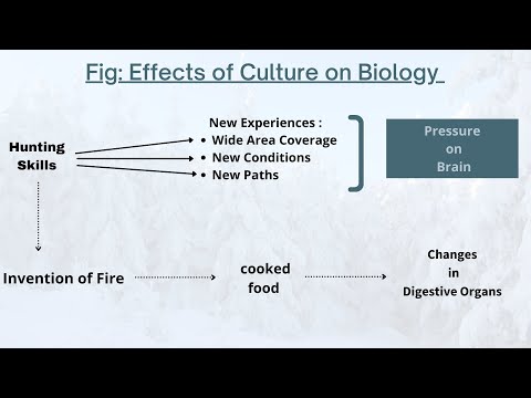 PART-1 | UPSC|HAS|PCS|UGC|STATE EXAMS|ANTHROPOLOGY OPTIONAL| HUMAN EVOLUTION AND EMERGENCE OF MAN