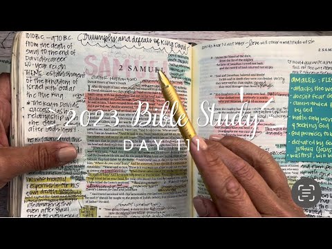 Study the Bible in One Year: Day 111 2 Samuel 1-4 | Bible study for beginners