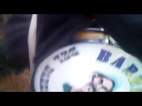 "Solo delfin sc ðŸ’›ðŸ’™" Barra: La Banda Cetácea y Perro Muerto &bull; Club: Delfín SC