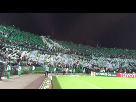 "21/04/2015. Club Atlético Nacional - Club Libertad de Paraguay" Barra: Los del Sur &bull; Club: Atlético Nacional