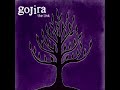 Gojira: Death Of Me (C# tuning)