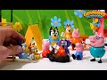 Peppa Pig and Bluey Go Camping! Funny Educational Video for Kids!