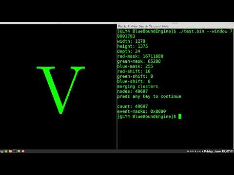 V