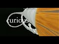 Curious Pictures The Baby Einstein Company
