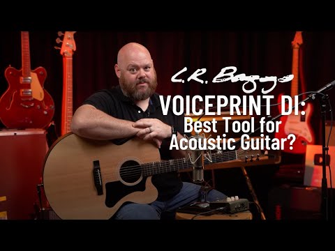 LR Baggs Voiceprint DI | Does it Live Up to the HYPE?